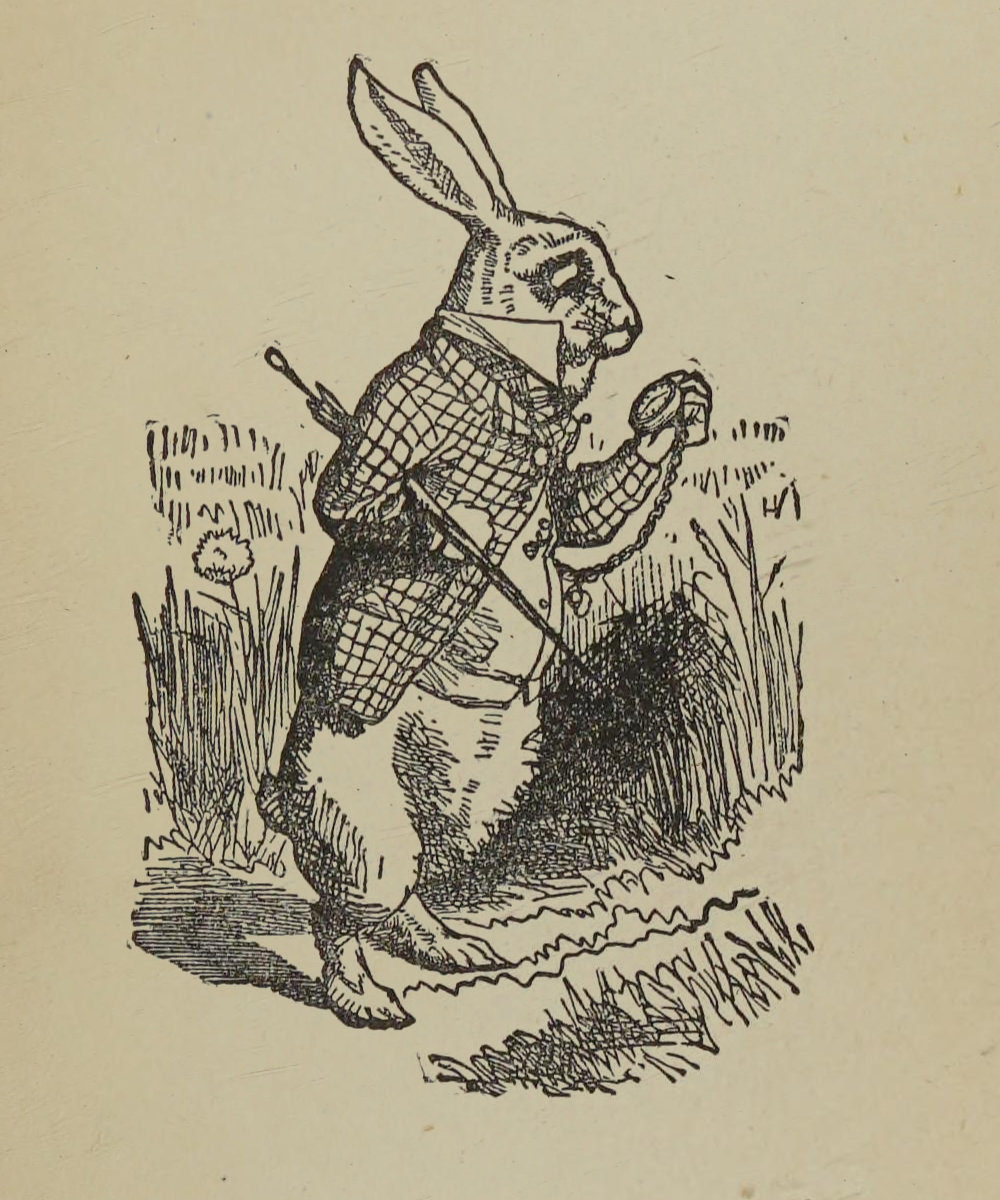 Image of White Rabbit