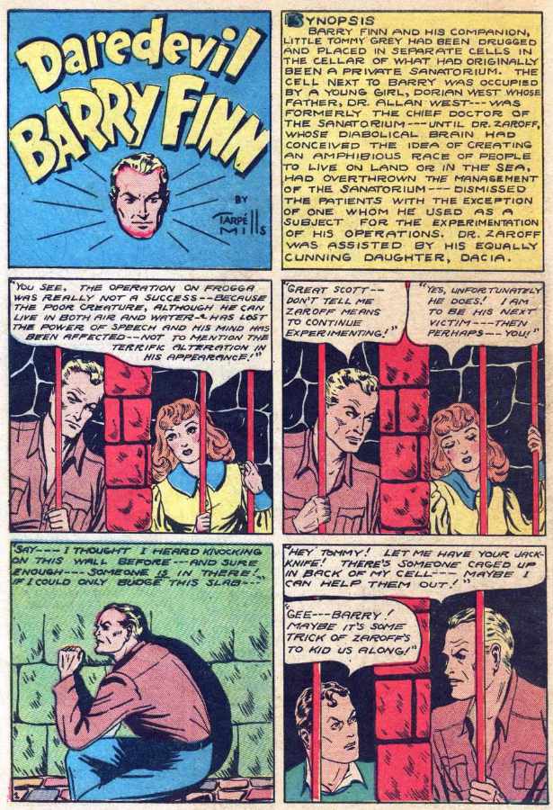 Image of Daredevil Barry Finn