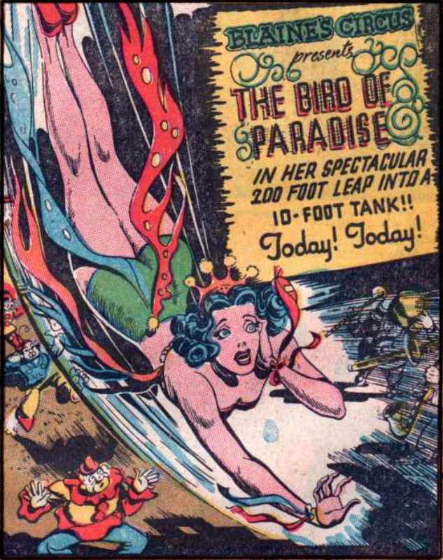 Image of Bird of Paradise (Narrative)