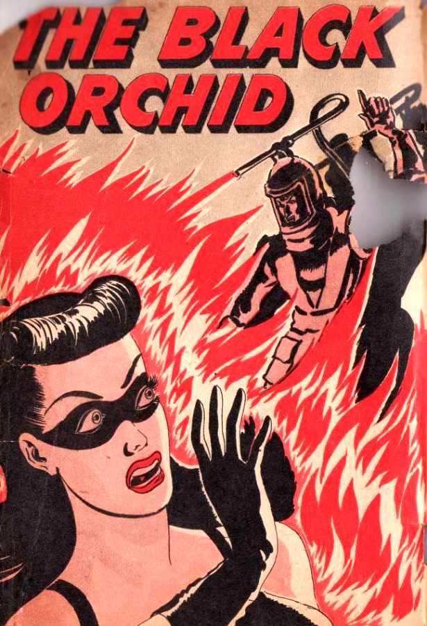 Image of Black Orchid (Tops)