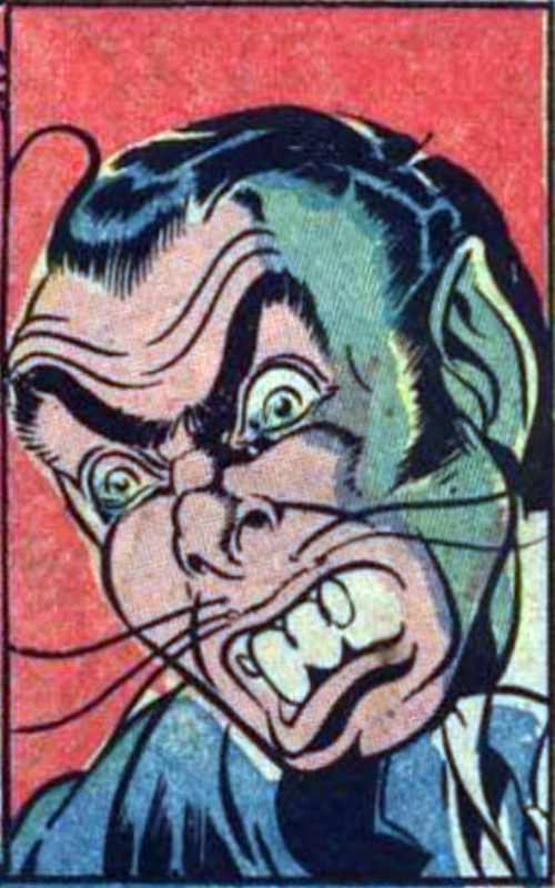 Image of Ferret (MLJ)