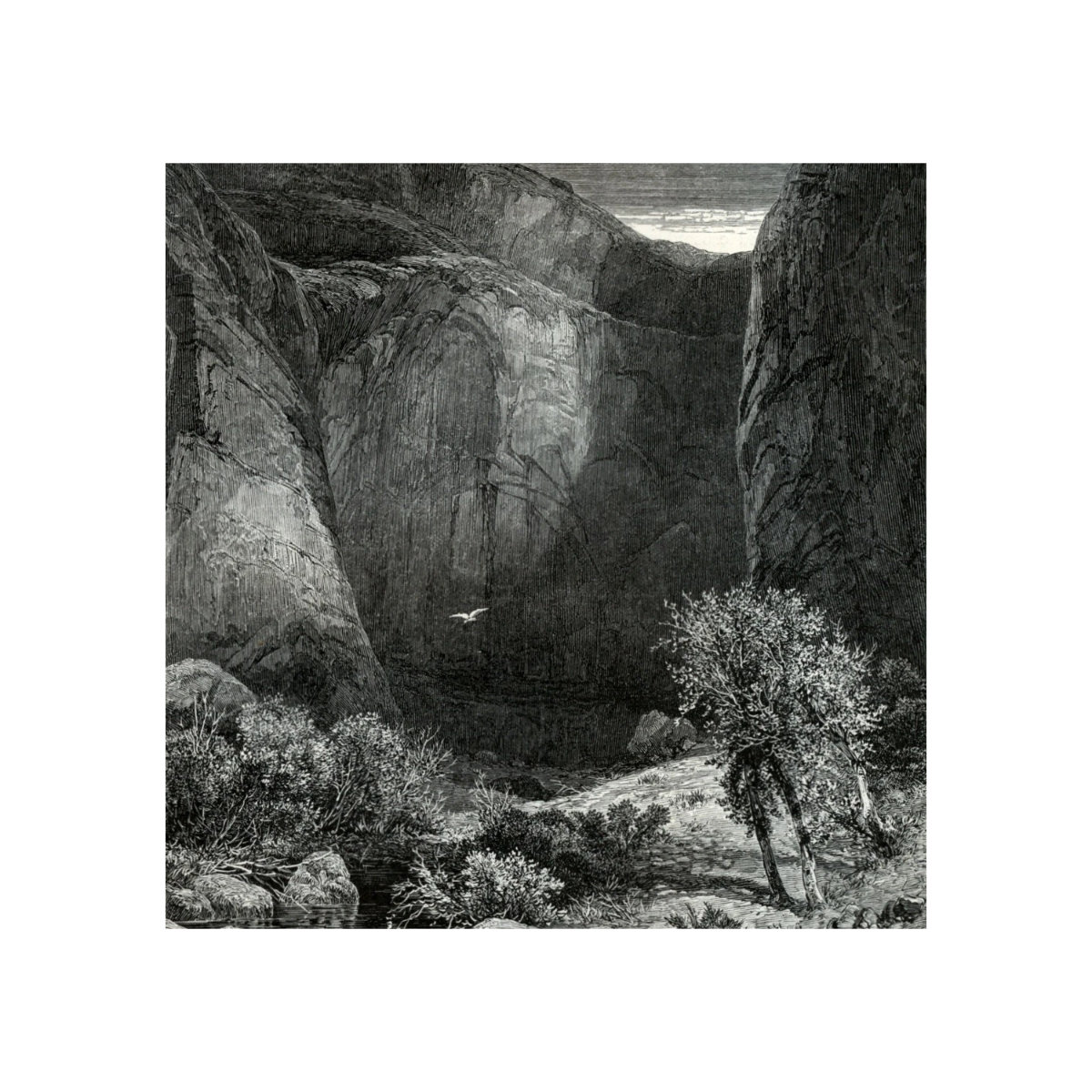 Image of Florent Max