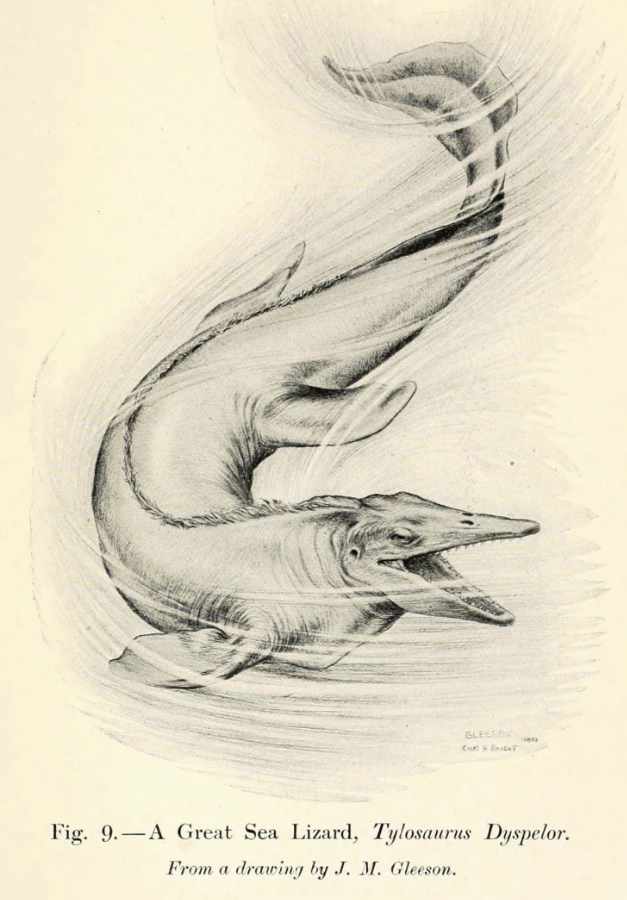 Image of Flathead Lake Monster