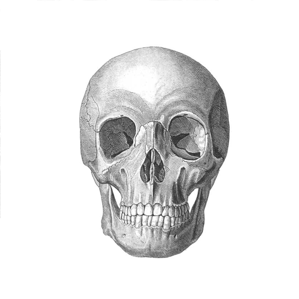 Image of M. d’Outremort