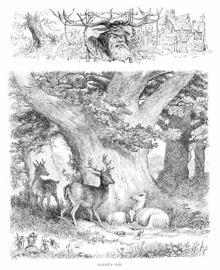 Image of Herne the Hunter
