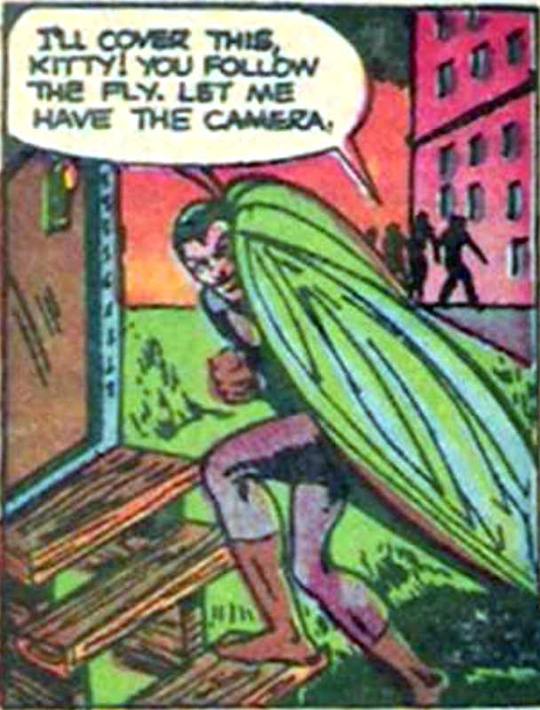 Image of Human Fly (Rural)