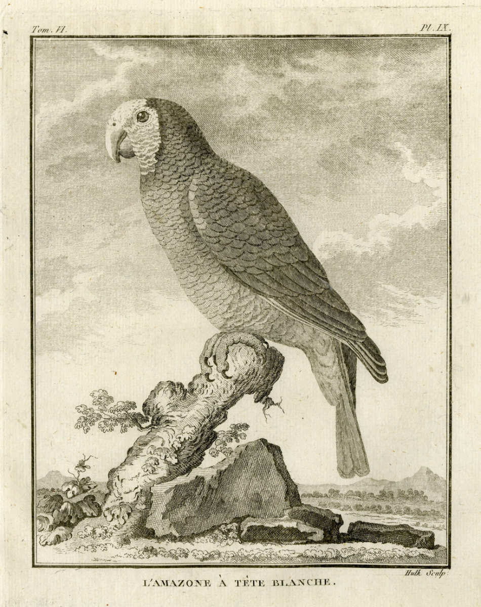 Image of Charles Christiani