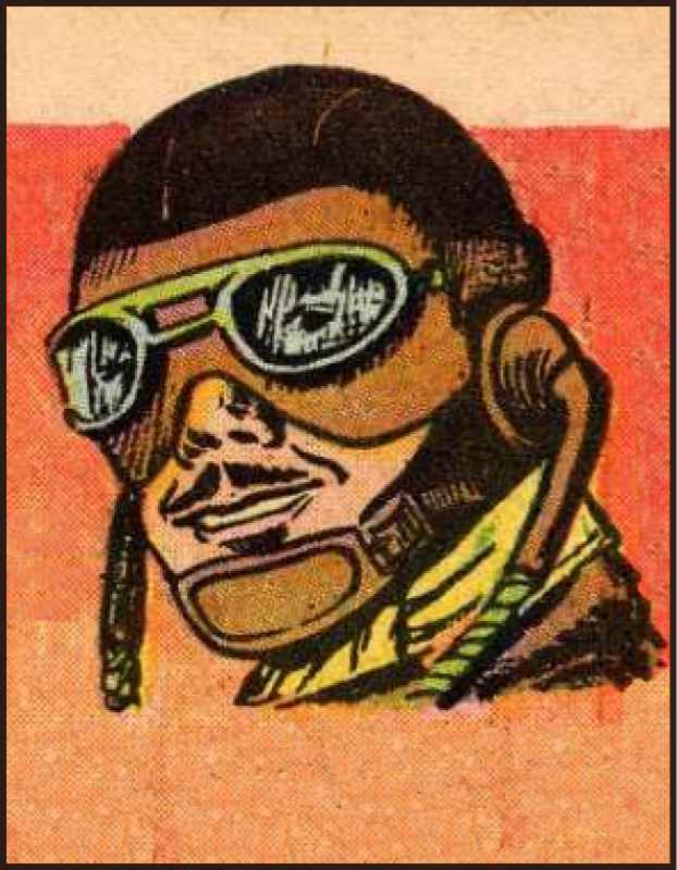 Image of Flyin' Fool (Fawcett)