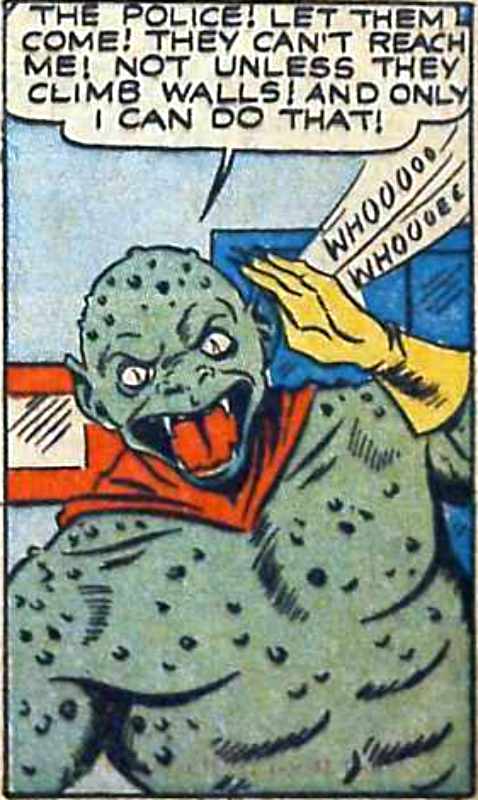 Image of Lizard
