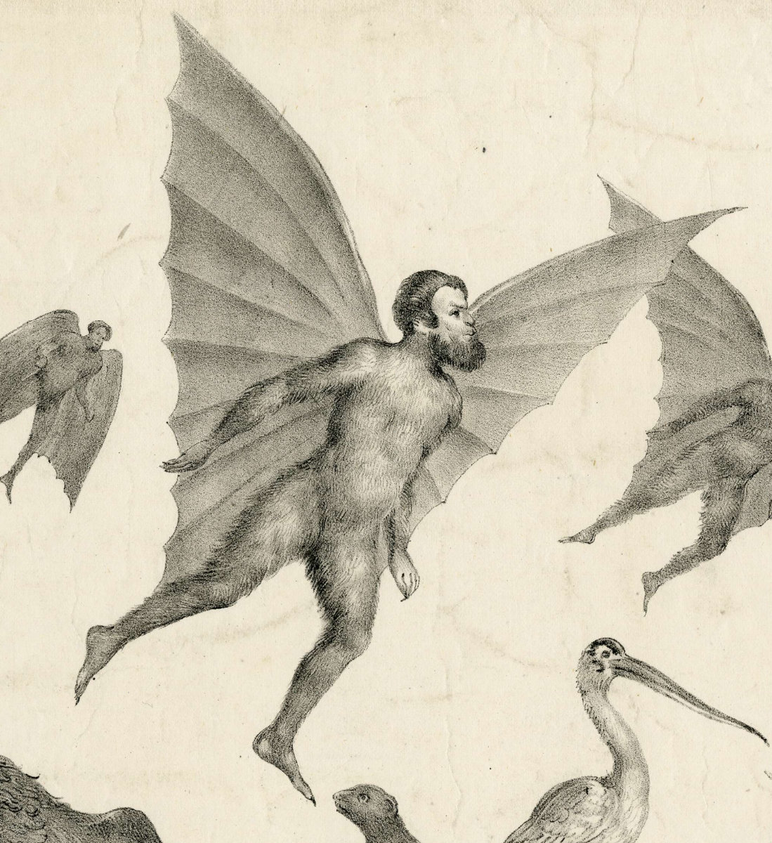 Image of Lunar Bat-People