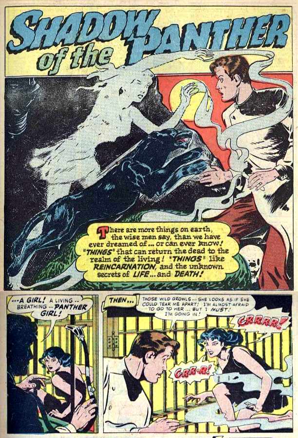 Image of Panther Girl