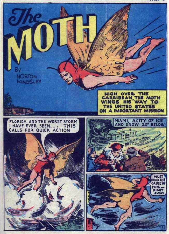 Image of Moth (Fox)