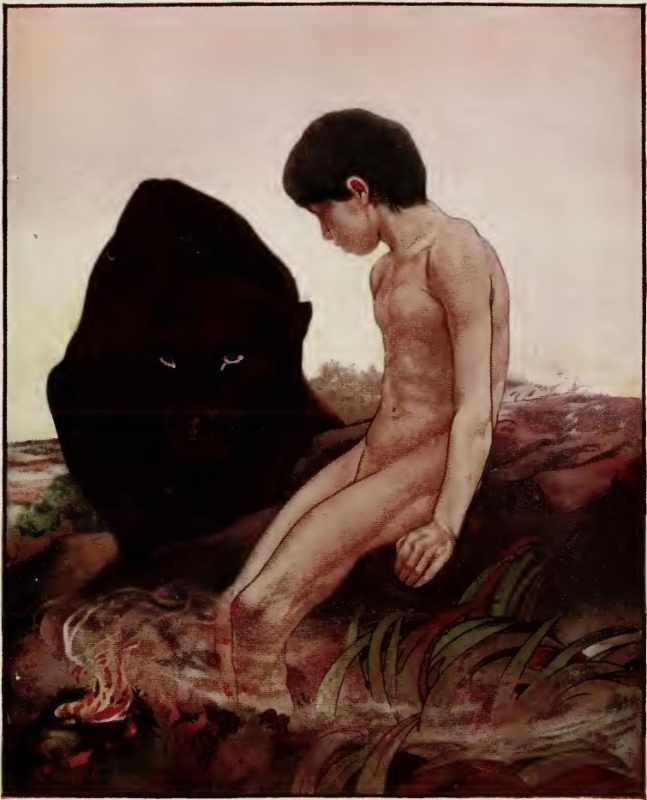 Image of Mowgli