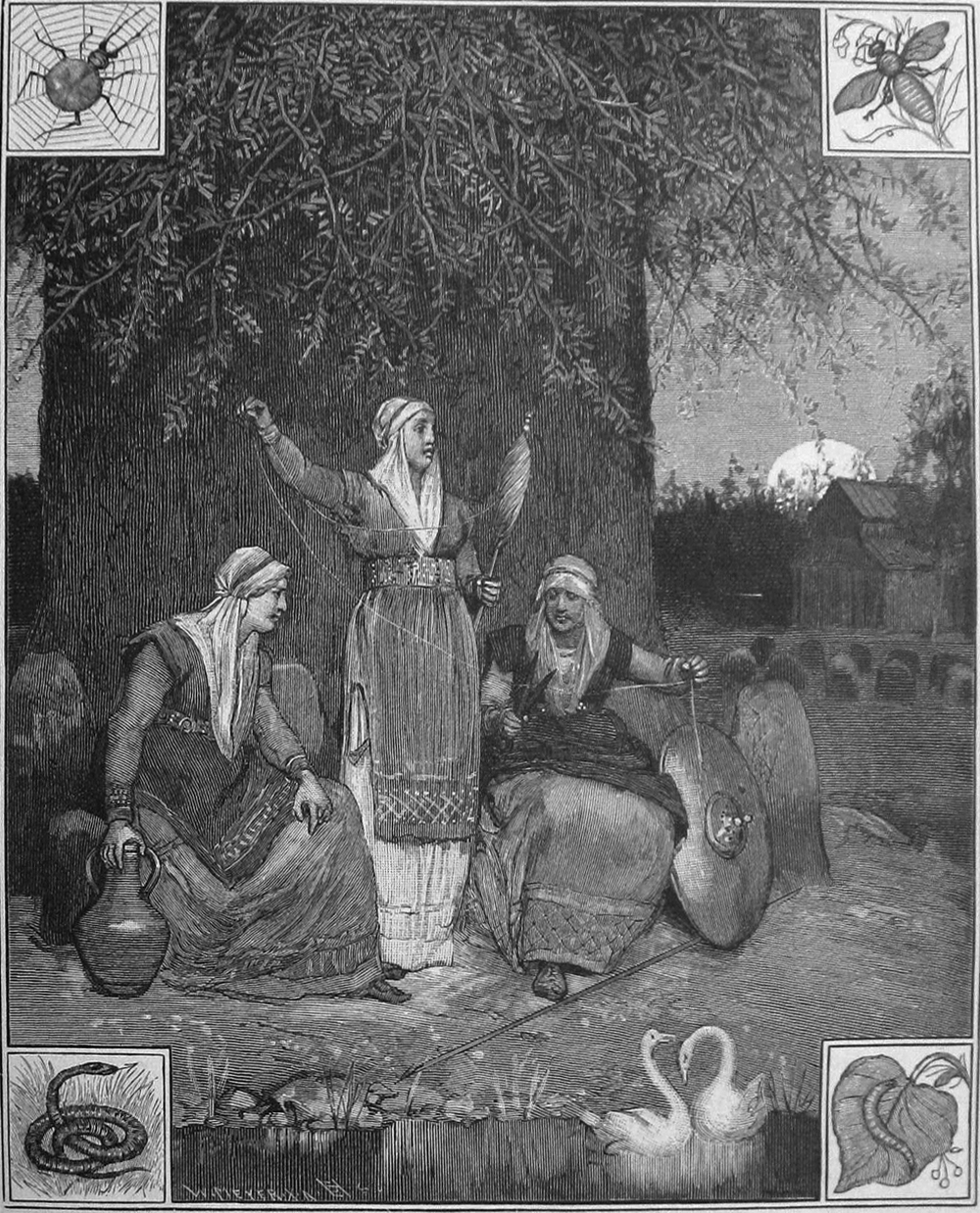 Image of Norns