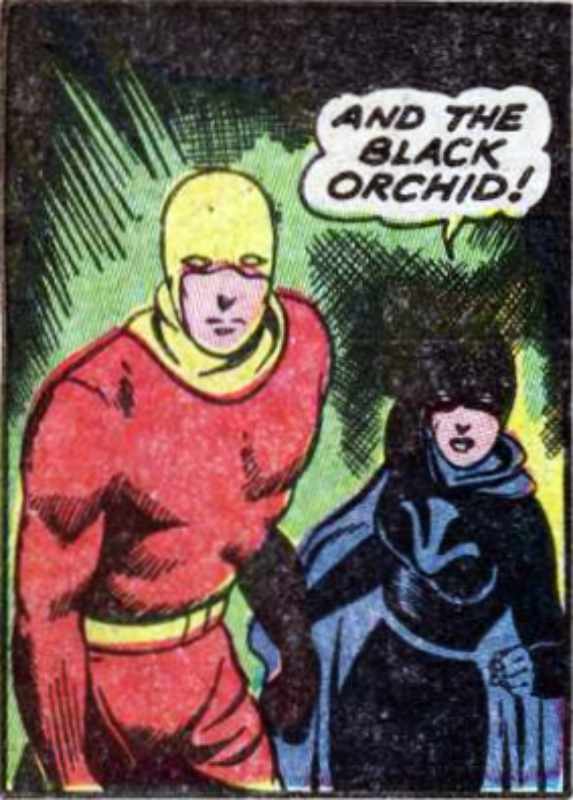 Image of Black Orchid (Harvey)