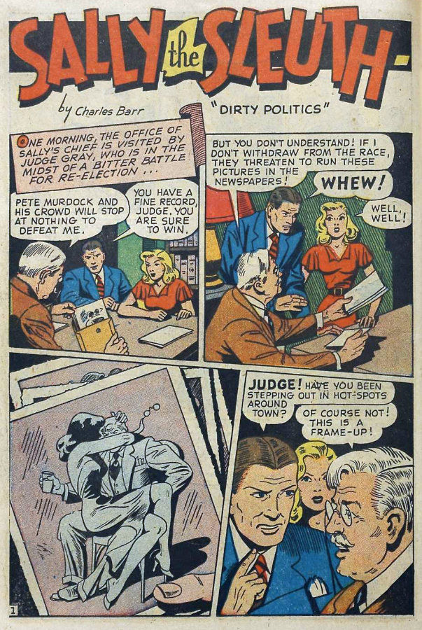 Image of Sally the Sleuth