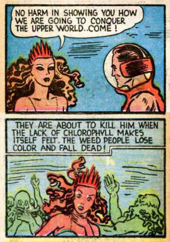 Image of Seaweed Queen