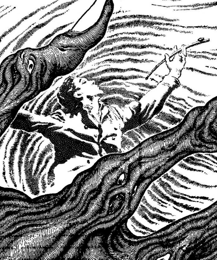 Image of Stephen Costigan