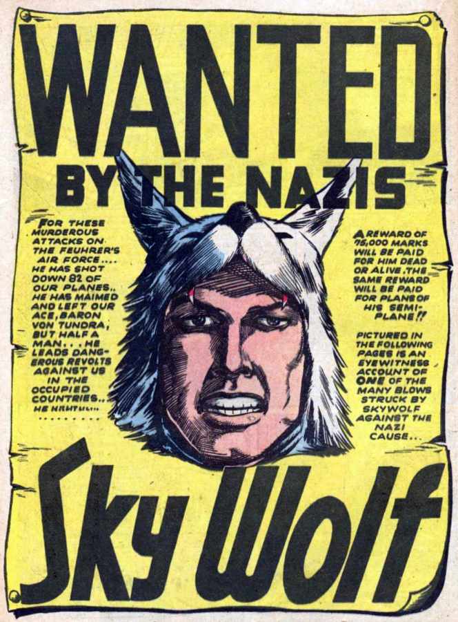 Image of Skywolf