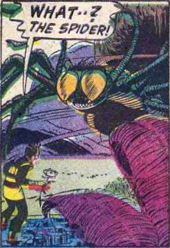Image of Giant Swamp Spider of Venus