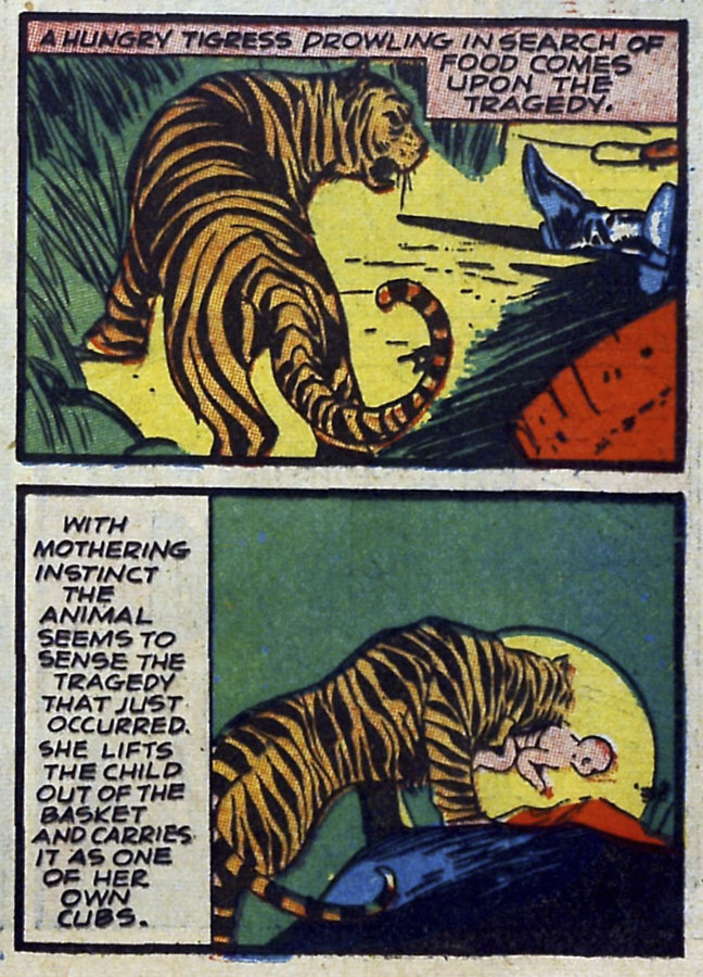 Image of Tigress (Holyoke)
