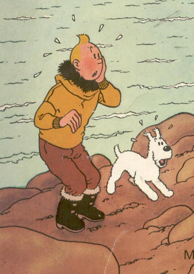Image of Tintin (Hergé)