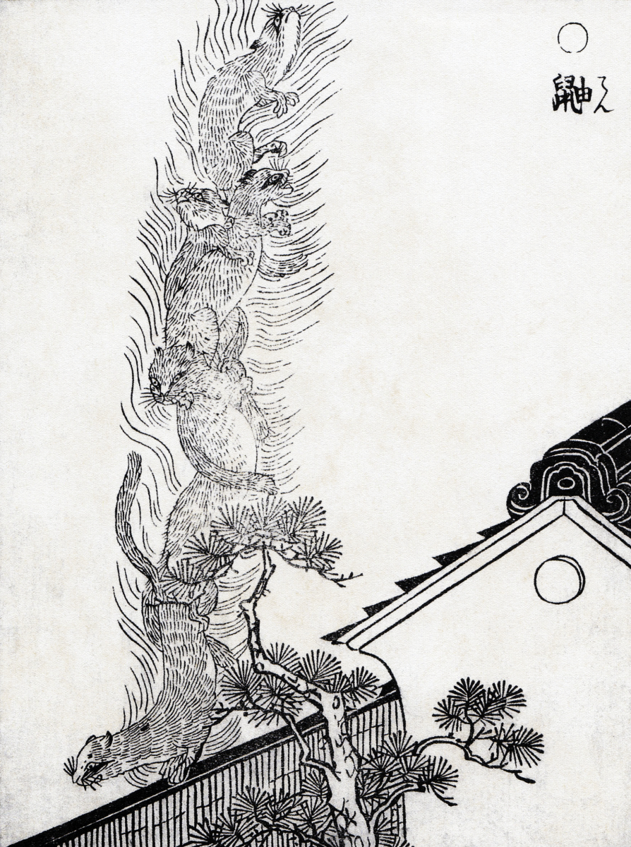 Image of Ten