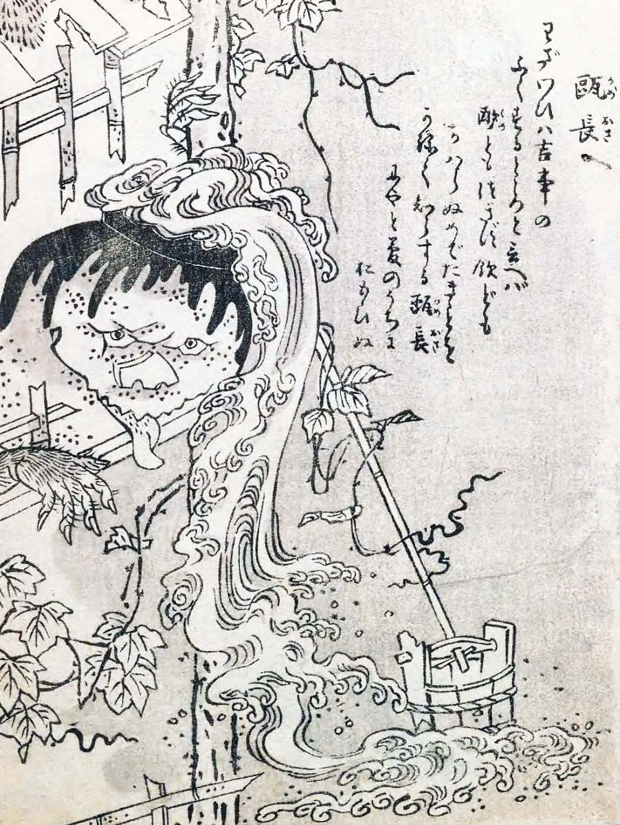 Image of Kameosa