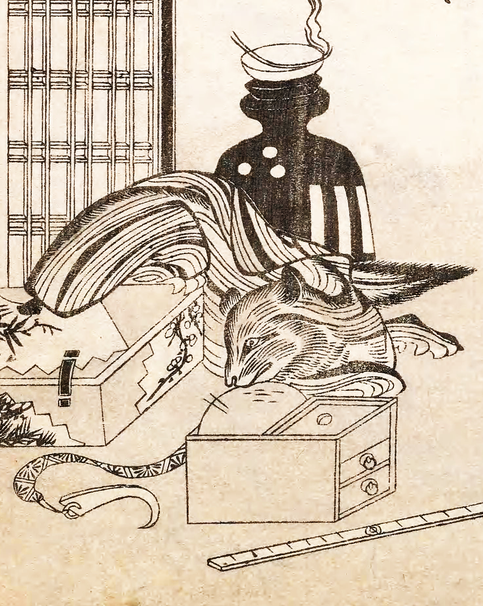 Image of Kinutanuki