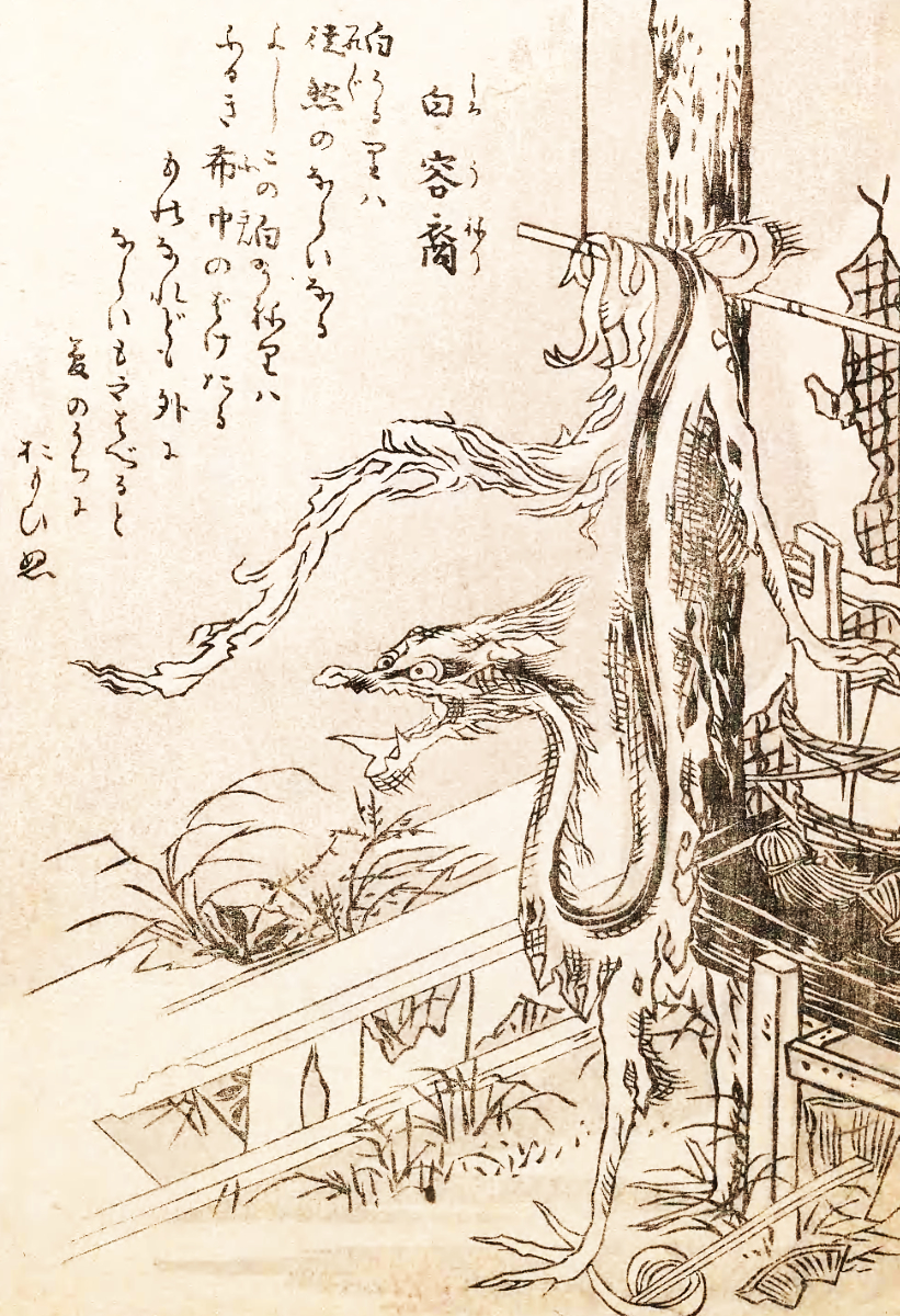 Image of Shiro uneri