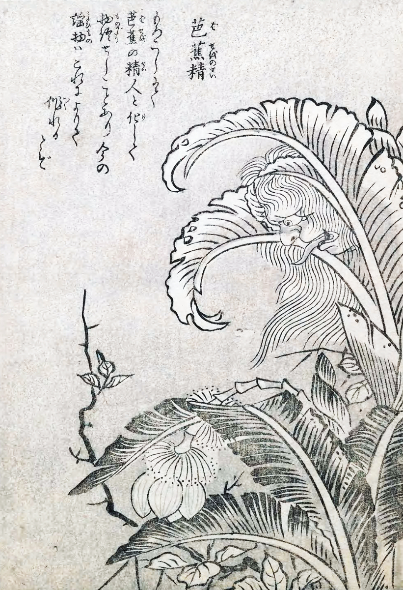 Image of Basho no sei