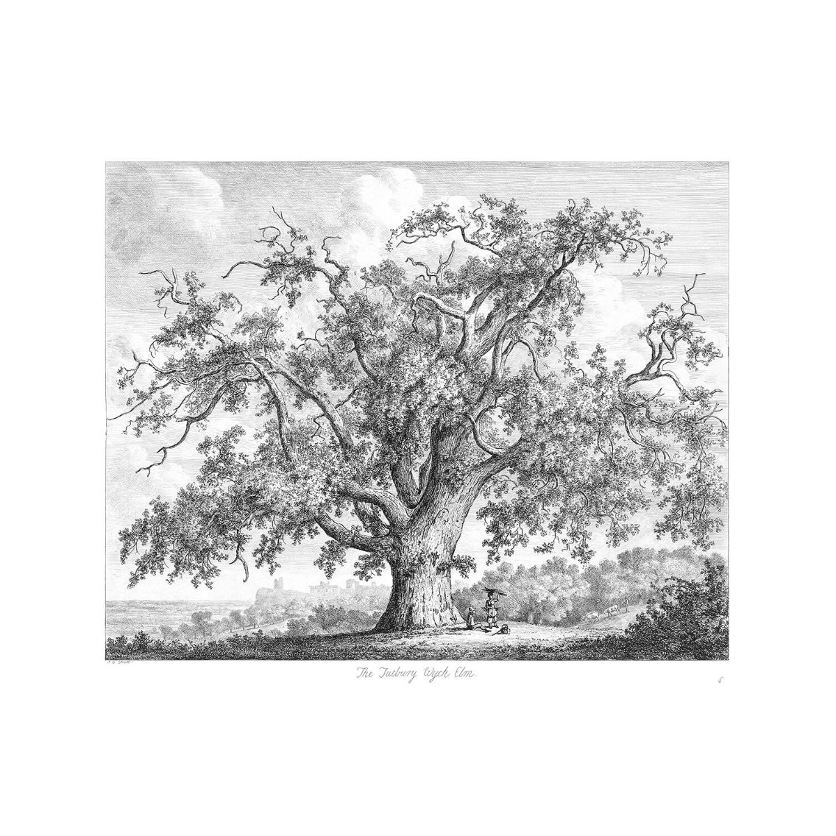 Image of Tityrus and Meliboeus