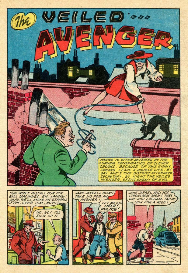 Image of Veiled Avenger