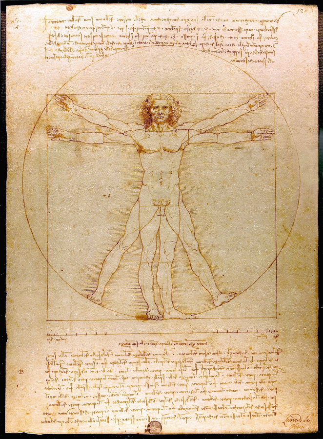 Image of Vitruvian Man