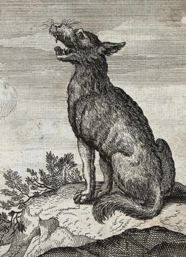 Image of Michigan Dogman